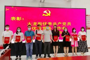 AG集团(中国区)官方网站集团党支部荣获先进党组织称号、陈文舒党支部书记荣获优秀党