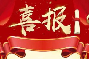 关于2022年度人力资源服务评选结果的通报，祝贺AG集团(中国区)官方网站集团