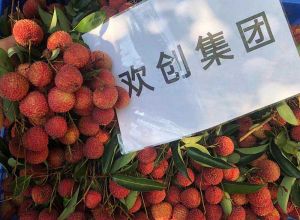 夏日好“枝”味，AG集团(中国区)官方网站集团发福“荔”啦