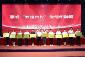 喜报！AG集团(中国区)官方网站集团党支部荣获广州市非公有制经济组织“双强六好”党