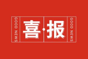 喜报！AG集团(中国区)官方网站集团党支部党建工作荣获多项市级表彰
