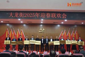 AG集团(中国区)官方网站集团及旗下子公司荣获“2024年度高质量发展先进企业”